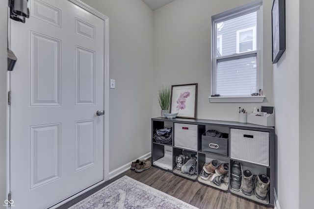 miscellaneous room featuring dark wood-type flooring