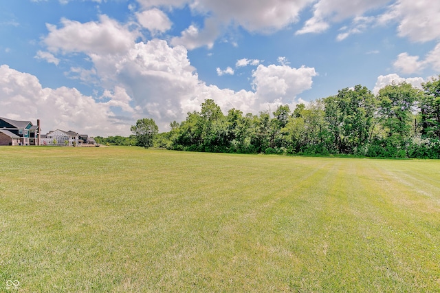 14445 Gainesway Cir, Fishers, IN 46040 - view of grassy yard