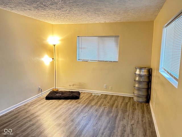 interior space with wood-type flooring and a textured ceiling