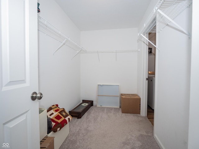 spacious closet with carpet floors