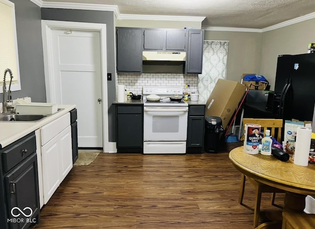 kitchen with ornamental molding, dark hardwood / wood-style flooring, sink, and electric range