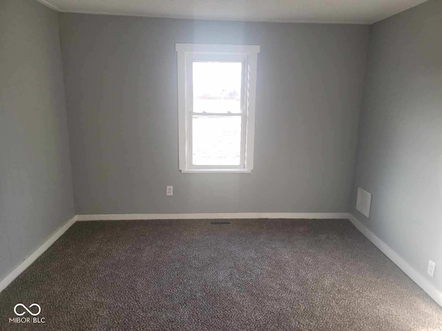 empty room featuring carpet