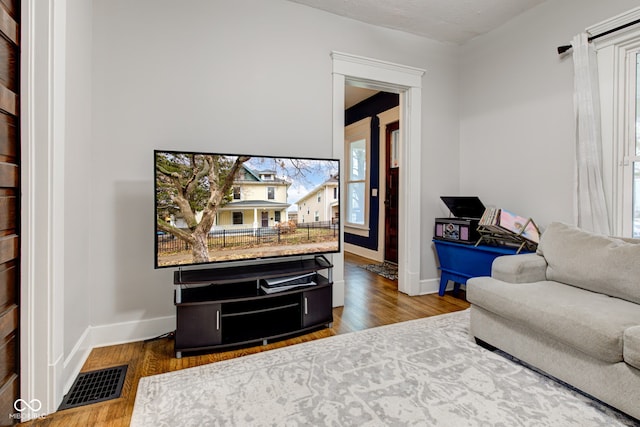 living room with hardwood / wood-style floors and a wealth of natural light