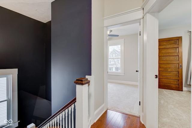 hallway with hardwood / wood-style floors