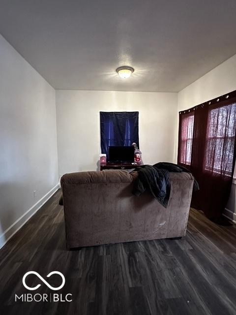 living room with dark hardwood / wood-style floors