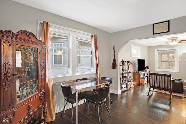 dining space featuring ceiling fan and dark hardwood / wood-style floors