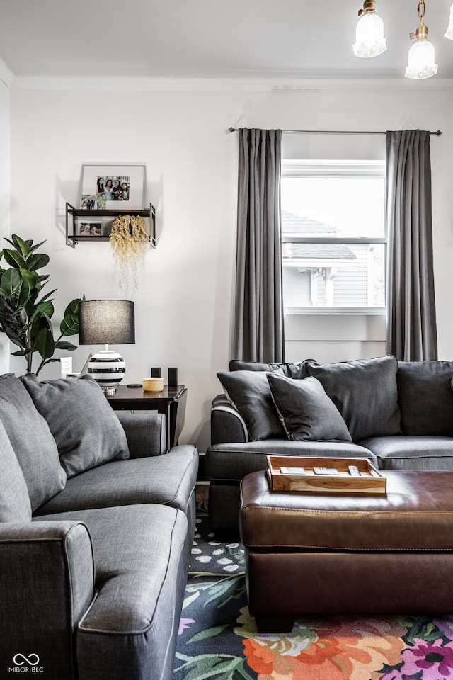 living room featuring crown molding