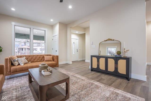 living room featuring hardwood / wood-style flooring