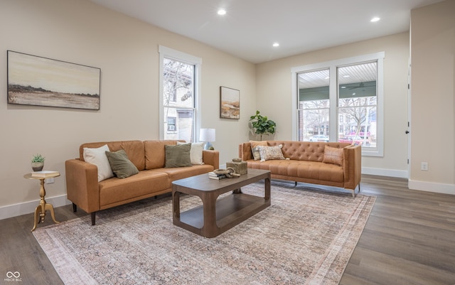 living room with wood-type flooring