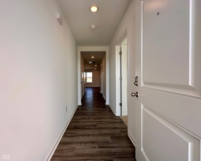 hall featuring dark wood-type flooring