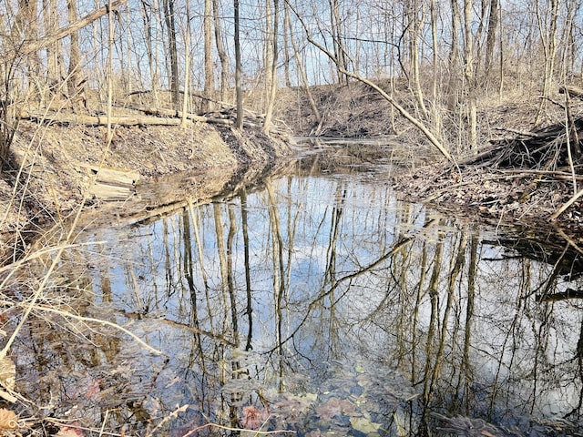 view of water feature