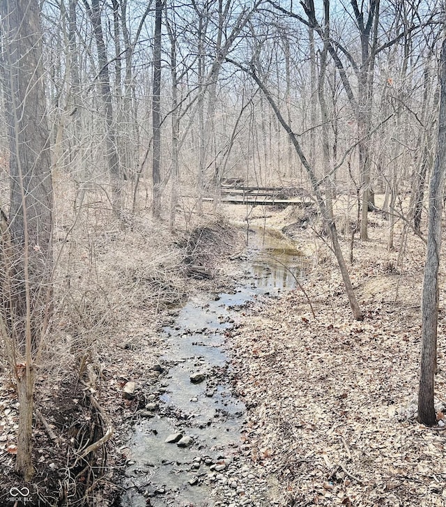 view of local wilderness featuring a wooded view