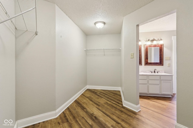 walk in closet with sink and wood-type flooring