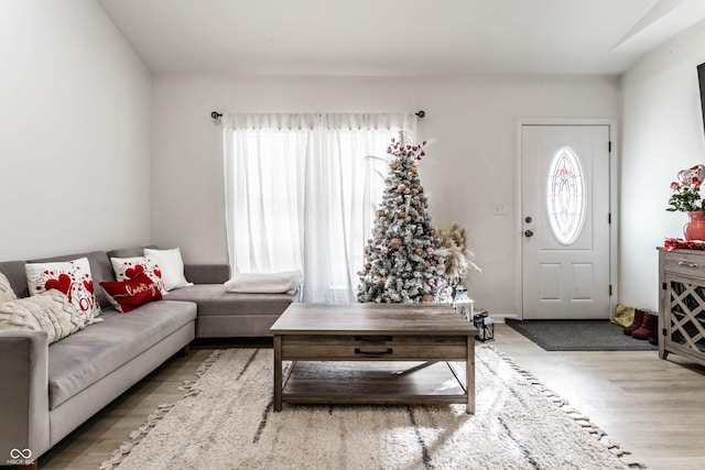 living room with wood-type flooring