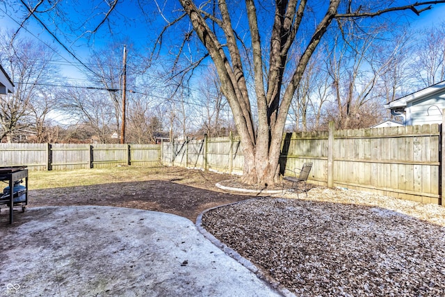 view of yard with a patio