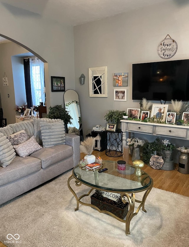 living room featuring hardwood / wood-style floors