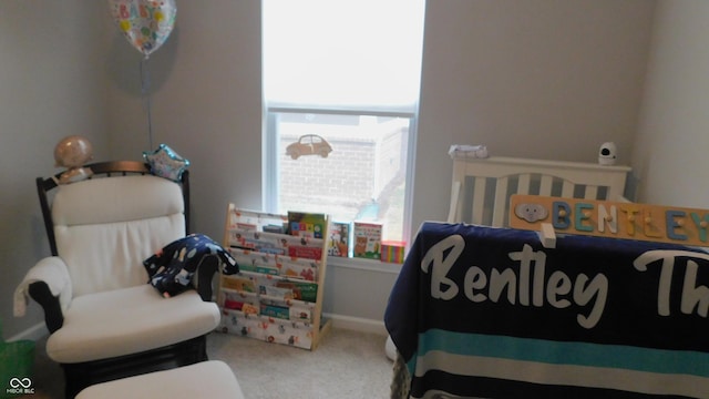 bedroom with carpet floors