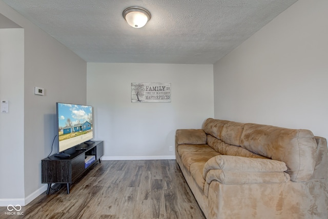 living room featuring wood-type flooring and a textured ceiling