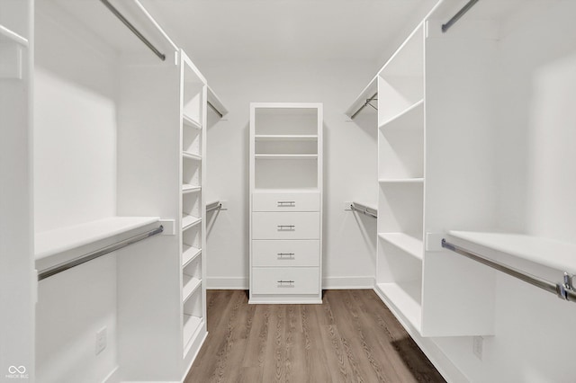 walk in closet featuring light hardwood / wood-style flooring