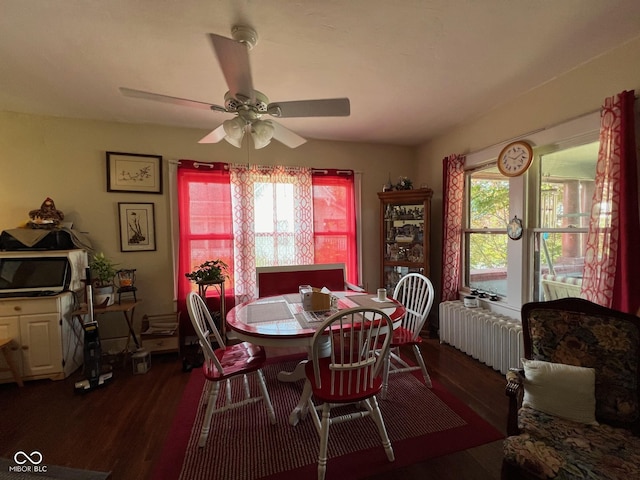 dining space featuring dark wood-type flooring, radiator heating unit, and ceiling fan