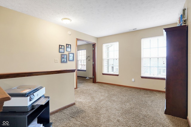 interior space featuring light carpet and a textured ceiling