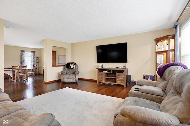 living room featuring dark hardwood / wood-style flooring