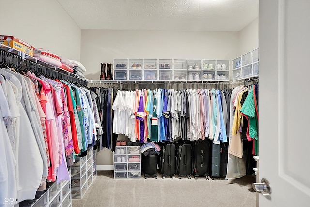 walk in closet featuring carpet flooring