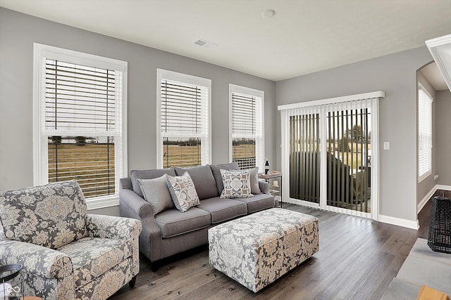 living room featuring hardwood / wood-style floors