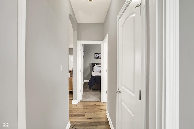 hall featuring wood-type flooring