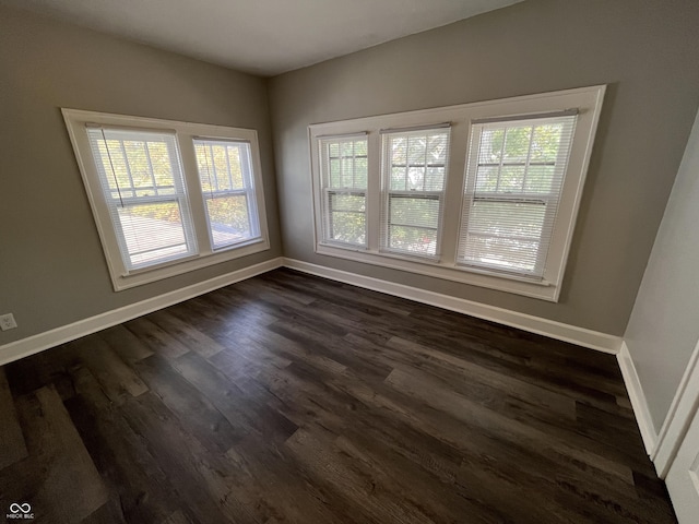 unfurnished room with dark wood-type flooring and a wealth of natural light