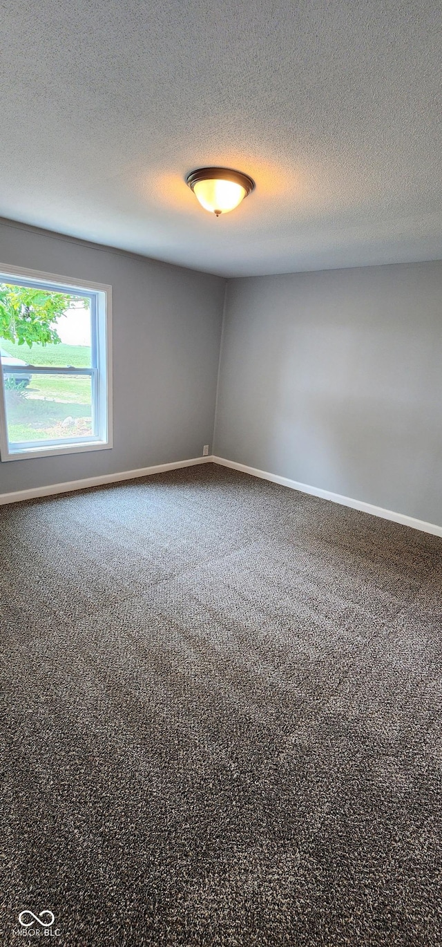 spare room featuring carpet floors and a textured ceiling