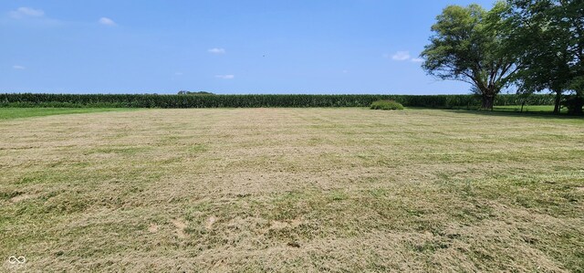 view of yard with a rural view