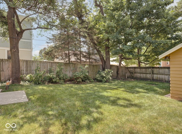 view of yard featuring a fenced backyard