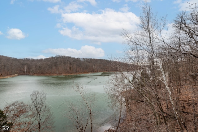 view of water feature