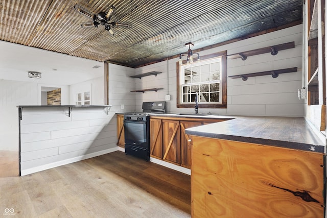 kitchen with sink, light hardwood / wood-style flooring, and black gas range oven