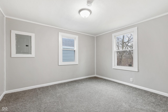 carpeted spare room featuring ornamental molding and electric panel