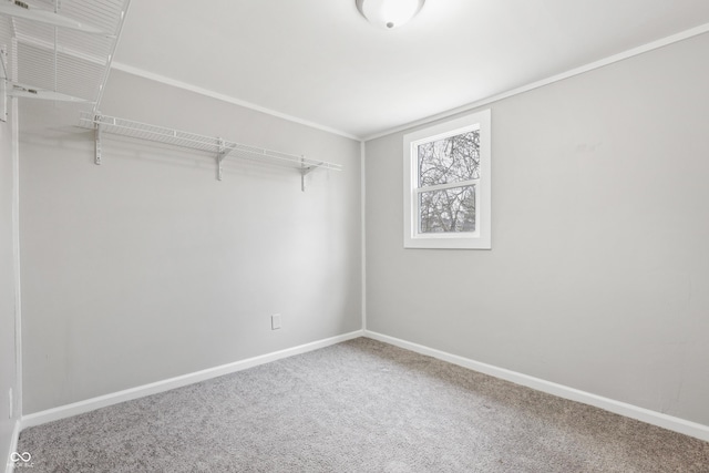 spacious closet with carpet