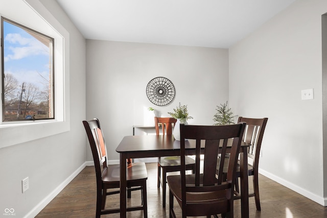 dining room with dark hardwood / wood-style floors