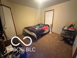 bedroom with carpet