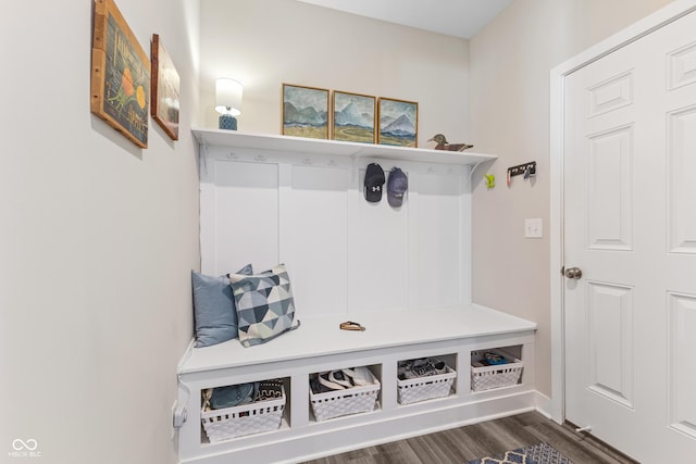 mudroom featuring dark wood-type flooring