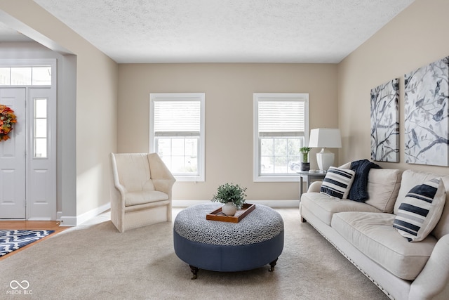 carpeted living room with a textured ceiling