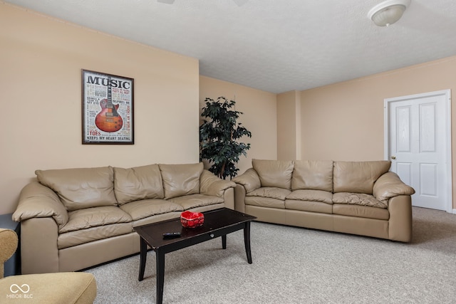 living room featuring a textured ceiling and carpet