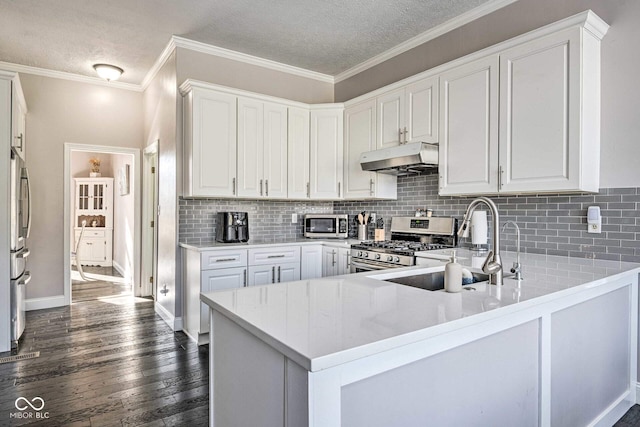 kitchen with under cabinet range hood, stainless steel appliances, dark wood-type flooring, a peninsula, and a sink