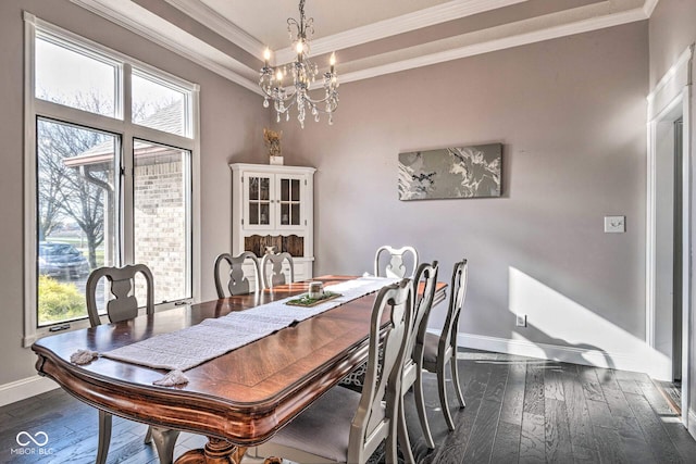 dining room featuring crown molding, a raised ceiling, and dark wood finished floors