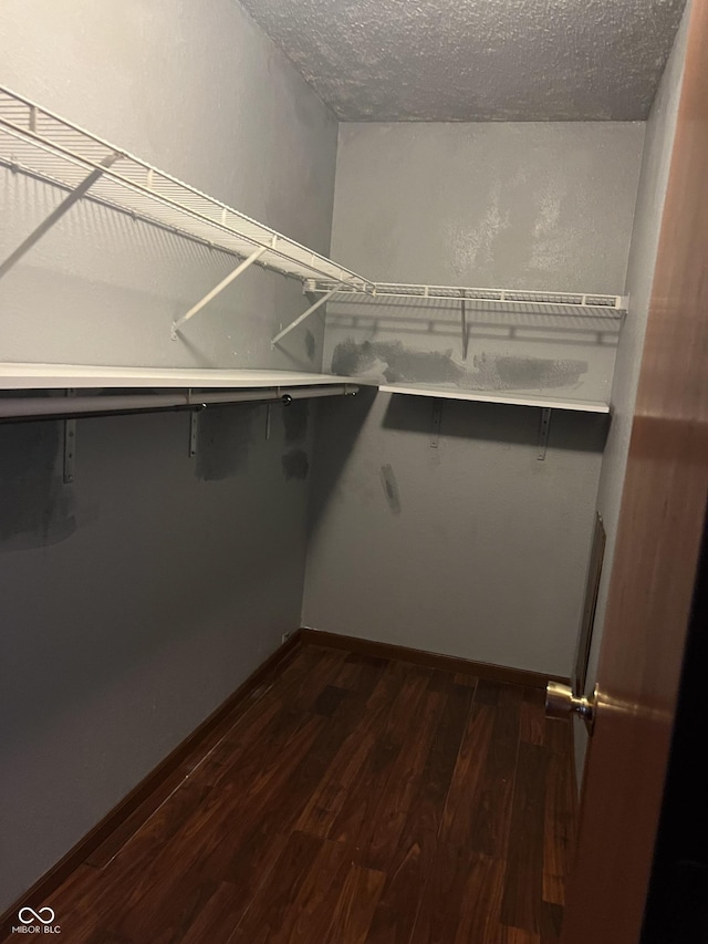 spacious closet featuring dark wood-type flooring