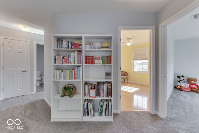 interior space with light carpet