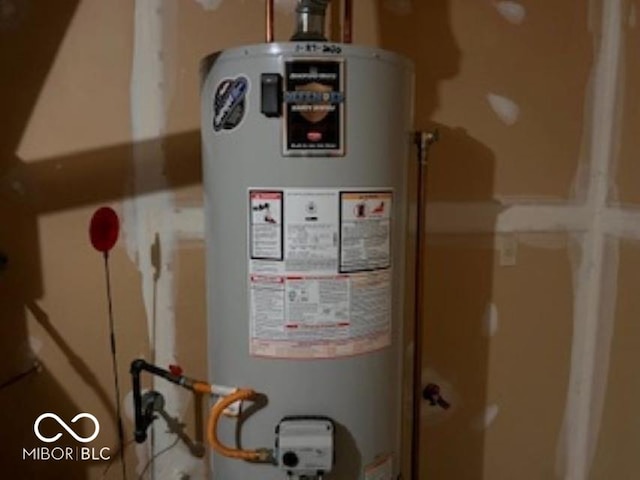 utility room with gas water heater