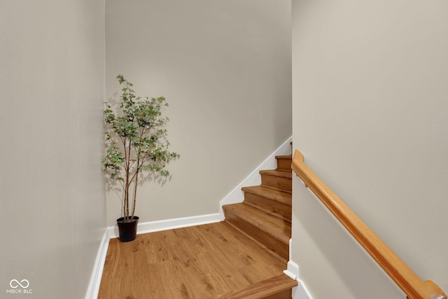 stairs with hardwood / wood-style floors