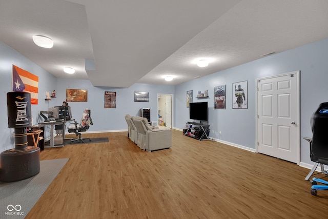 living room featuring wood-type flooring