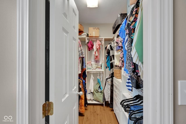 walk in closet with light hardwood / wood-style floors